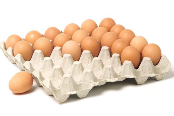 Make Egg Trays with Low Cost